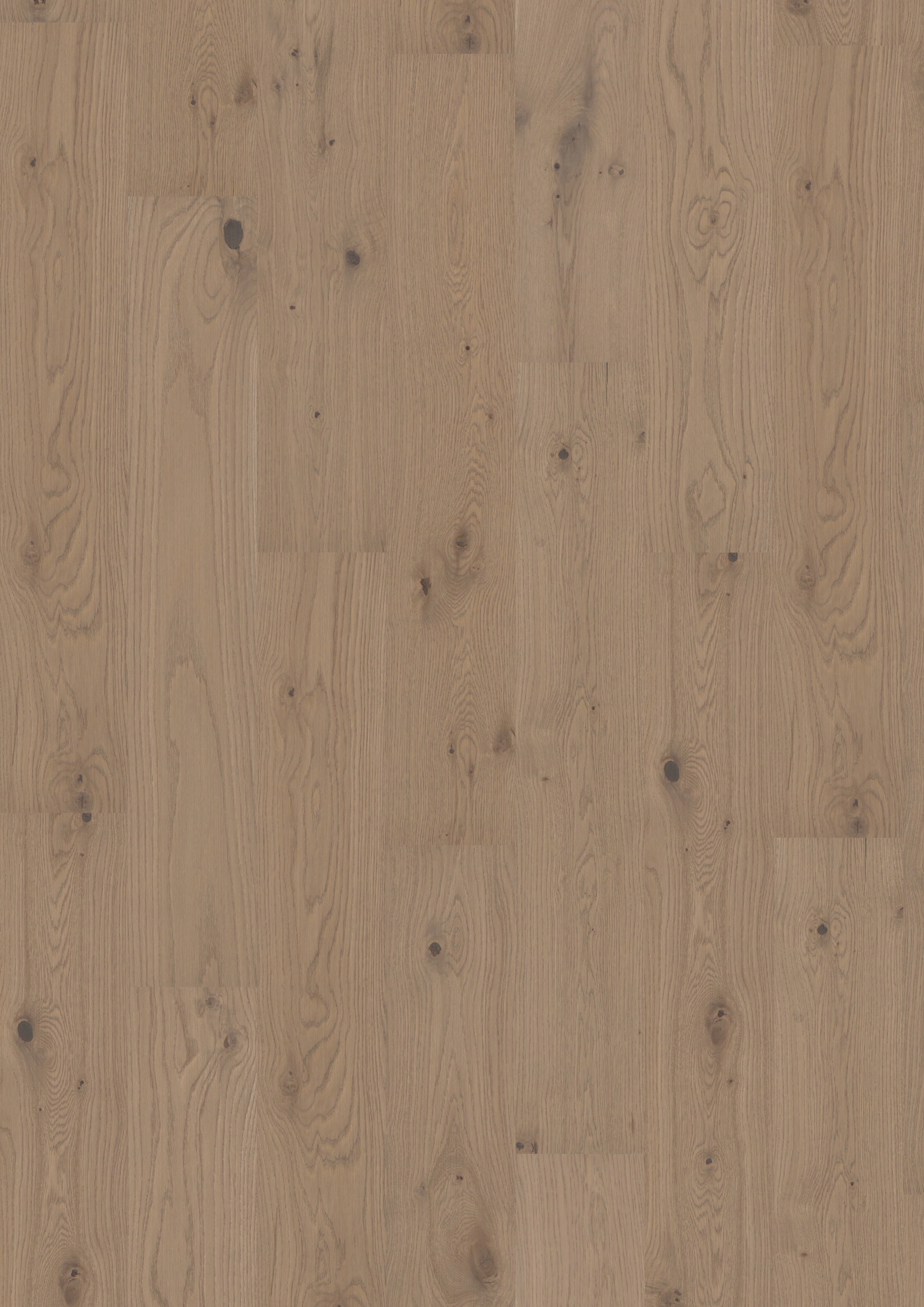 TRÄGOLV MAXWOOD LODGE EK UNIQUE ELEGANT GRÅ 2,09M2