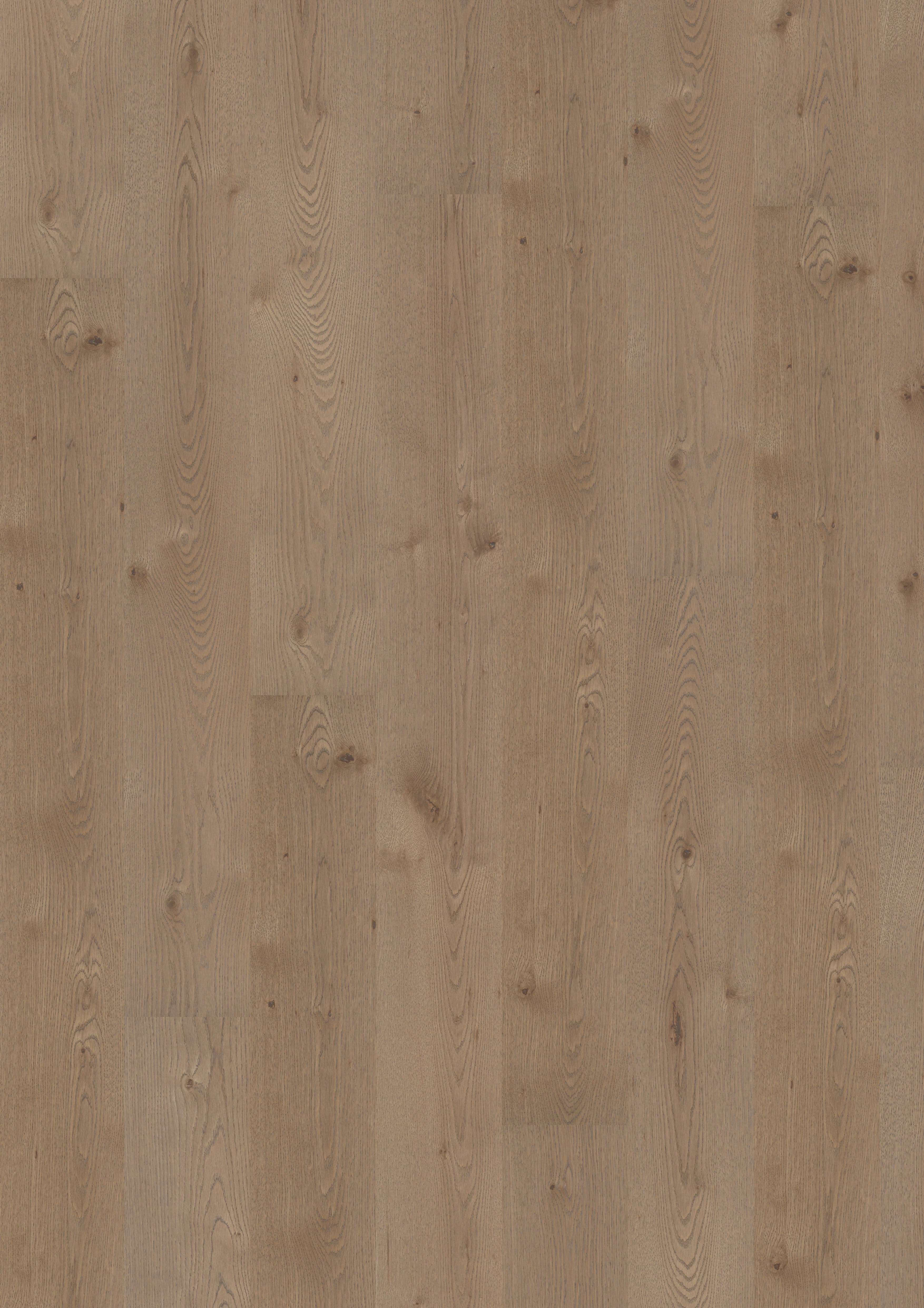 TRÄGOLV MAXWOOD XL EK UNIQUE ELEGANT GRÅ